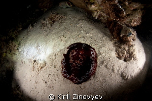 Caught at night dive by Kirill Zinovyev 